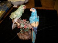 Love birds  SANYO DIGITAL CAMERA : mailroom, freight, next  day, early am