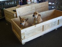 The Greeters : lexington, 40509, notary, 40502, custom boxes, post office