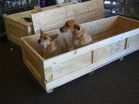 Harley and Emma : boxes, box, shipping, antiques, lexingtonexington