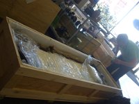 Grandfather clock : networking, corrugated boxes, freight, private mailboxes, electronics